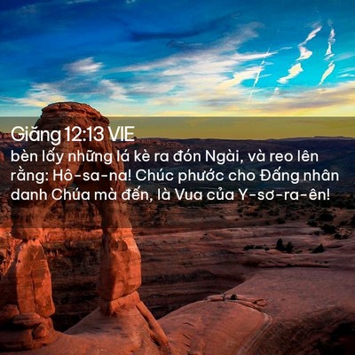 Picture 02 - Giăng 12:13 VIE - bèn lấy những lá kè ra đón Ngài, và - Bible Verse Picture