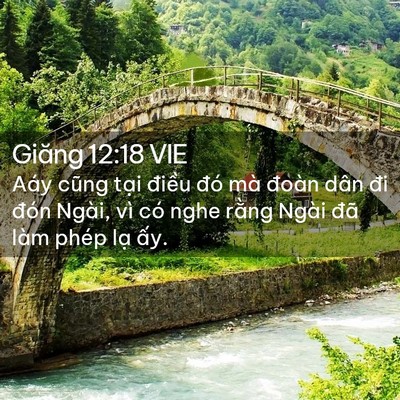 Picture 02 - Giăng 12:18 VIE - Aáy cũng tại điều đó mà đoàn dân đi - Bible Verse Picture