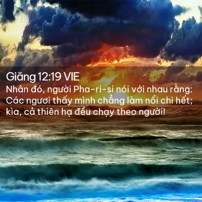 Picture 02 - Giăng 12:19 VIE - Nhân đó, người Pha-ri-si nói với nhau - Bible Verse Picture