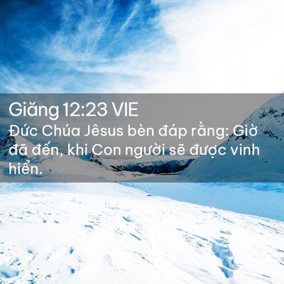Picture 02 - Giăng 12:23 VIE - Đức Chúa Jêsus bèn đáp rằng: Giờ đã - Bible Verse Picture