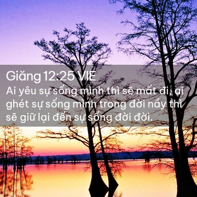 Picture 02 - Giăng 12:25 VIE - Ai yêu sự sống mình thì sẽ mất đi, ai - Bible Verse Picture