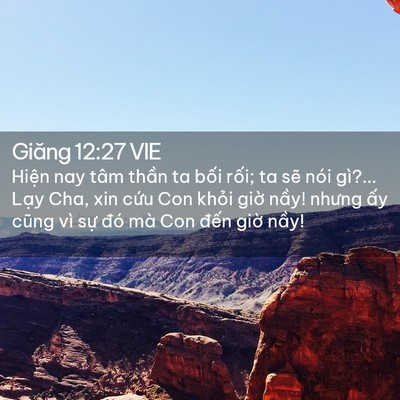 Picture 02 - Giăng 12:27 VIE - Hiện nay tâm thần ta bối rối; ta sẽ - Bible Verse Picture