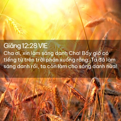 Picture 02 - Giăng 12:28 VIE - Cha ơi, xin làm sáng danh Cha! Bấy giờ có - Bible Verse Picture