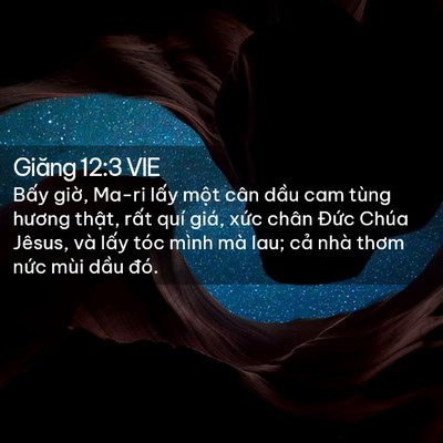 Picture 02 - Giăng 12:3 VIE - Bấy giờ, Ma-ri lấy một cân dầu cam - Bible Verse Picture