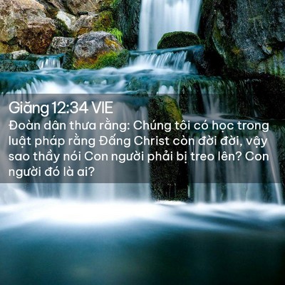 Picture 02 - Giăng 12:34 VIE - Đoàn dân thưa rằng: Chúng tôi có học - Bible Verse Picture