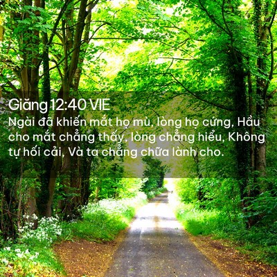 Picture 02 - Giăng 12:40 VIE - Ngài đã khiến mắt họ mù, lòng họ - Bible Verse Picture