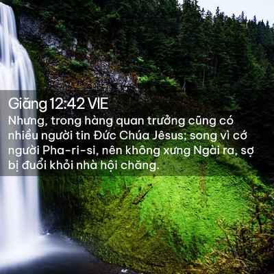 Picture 02 - Giăng 12:42 VIE - Nhưng, trong hàng quan trưởng cũng có - Bible Verse Picture