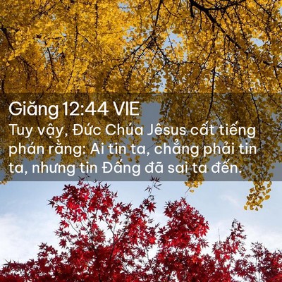Picture 02 - Giăng 12:44 VIE - Tuy vậy, Đức Chúa Jêsus cất tiếng - Bible Verse Picture