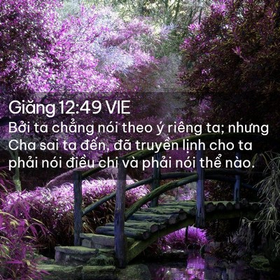 Picture 02 - Giăng 12:49 VIE - Bởi ta chẳng nói theo ý riêng ta; nhưng - Bible Verse Picture