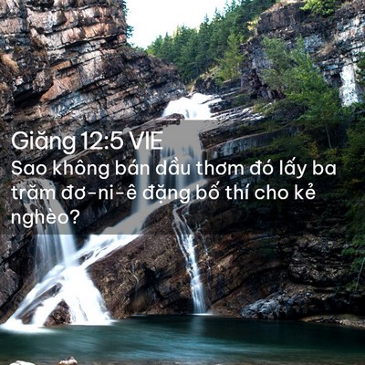 Picture 02 - Giăng 12:5 VIE - Sao không bán dầu thơm đó lấy ba trăm - Bible Verse Picture