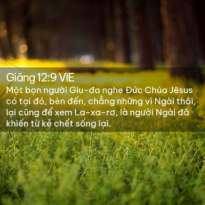 Picture 02 - Giăng 12:9 VIE - Một bọn người Giu-đa nghe Đức Chúa - Bible Verse Picture