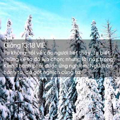 Picture 02 - Giăng 13:18 VIE - Ta không nói về các ngươi hết thảy, ta - Bible Verse Picture