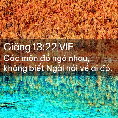 Picture 02 - Giăng 13:22 VIE - Các môn đồ ngó nhau, không biết Ngài - Bible Verse Picture