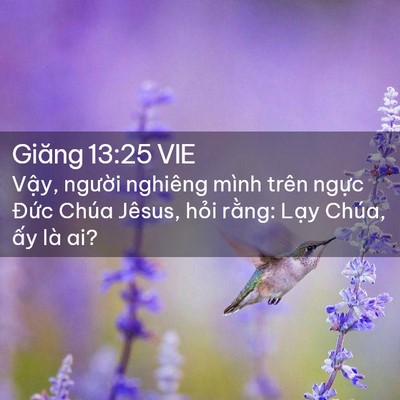 Picture 02 - Giăng 13:25 VIE - Vậy, người nghiêng mình trên ngực - Bible Verse Picture