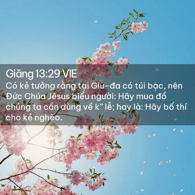 Picture 02 - Giăng 13:29 VIE - Có kẻ tưởng rằng tại Giu-đa có túi - Bible Verse Picture