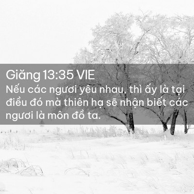 Picture 02 - Giăng 13:35 VIE - Nếu các ngươi yêu nhau, thì ấy là tại - Bible Verse Picture