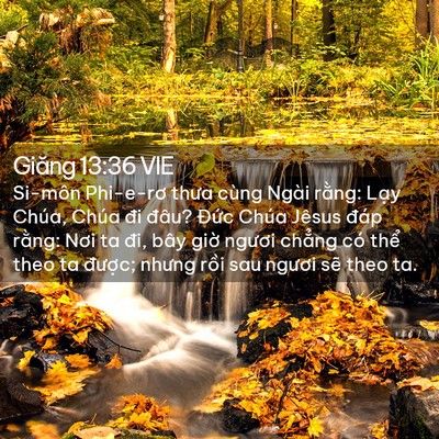 Picture 02 - Giăng 13:36 VIE - Si-môn Phi-e-rơ thưa cùng Ngài rằng: Lạy - Bible Verse Picture