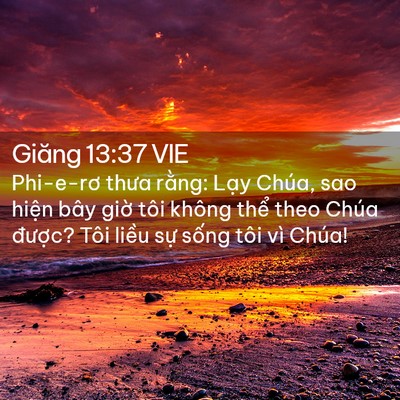 Picture 02 - Giăng 13:37 VIE - Phi-e-rơ thưa rằng: Lạy Chúa, sao hiện - Bible Verse Picture
