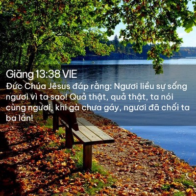 Picture 02 - Giăng 13:38 VIE - Đức Chúa Jêsus đáp rằng: Ngươi liều - Bible Verse Picture
