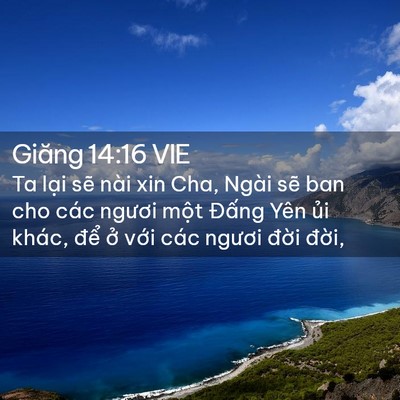 Picture 02 - Giăng 14:16 VIE - Ta lại sẽ nài xin Cha, Ngài sẽ ban cho - Bible Verse Picture