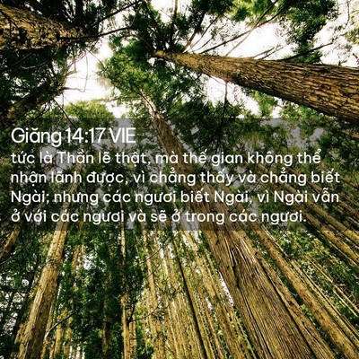 Picture 02 - Giăng 14:17 VIE - tức là Thần lẽ thật, mà thế gian - Bible Verse Picture