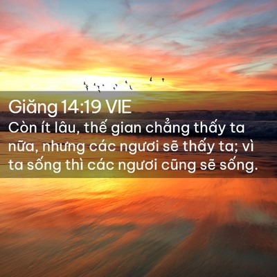 Picture 02 - Giăng 14:19 VIE - Còn ít lâu, thế gian chẳng thấy ta - Bible Verse Picture