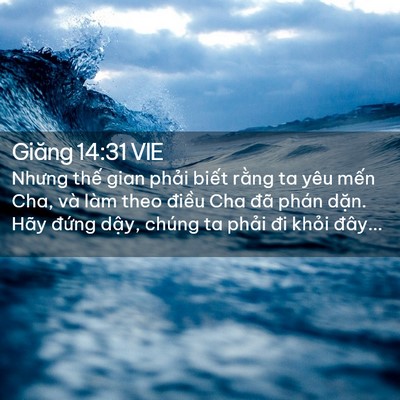 Picture 02 - Giăng 14:31 VIE - Nhưng thế gian phải biết rằng ta yêu - Bible Verse Picture
