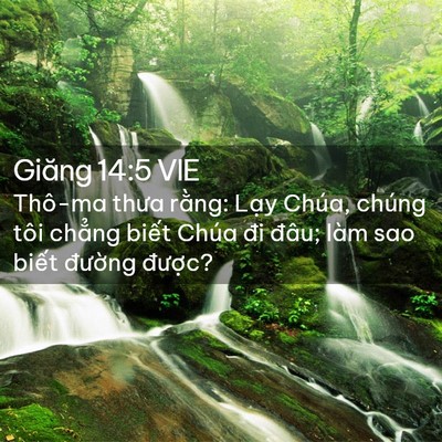Picture 02 - Giăng 14:5 VIE - Thô-ma thưa rằng: Lạy Chúa, chúng tôi - Bible Verse Picture