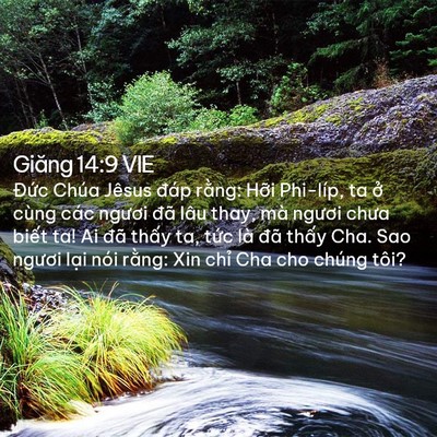 Picture 02 - Giăng 14:9 VIE - Đức Chúa Jêsus đáp rằng: Hỡi Phi-líp, - Bible Verse Picture