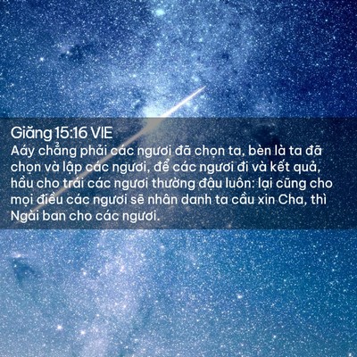 Picture 02 - Giăng 15:16 VIE - Aáy chẳng phải các ngươi đã chọn ta, - Bible Verse Picture