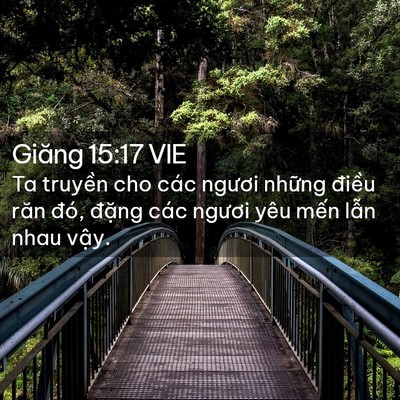Picture 02 - Giăng 15:17 VIE - Ta truyền cho các ngươi những điều răn - Bible Verse Picture