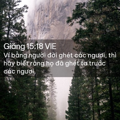 Picture 02 - Giăng 15:18 VIE - Ví bằng người đời ghét các ngươi, - Bible Verse Picture