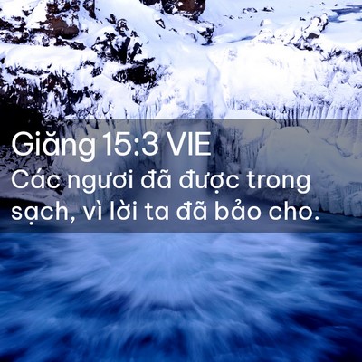 Picture 02 - Giăng 15:3 VIE - Các ngươi đã được trong sạch, vì - Bible Verse Picture