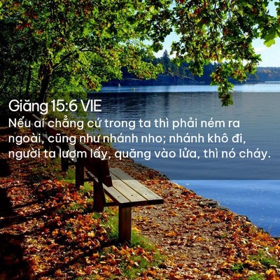 Picture 02 - Giăng 15:6 VIE - Nếu ai chẳng cứ trong ta thì phải ném - Bible Verse Picture