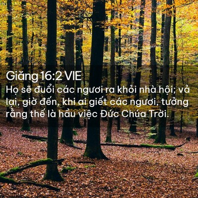 Picture 02 - Giăng 16:2 VIE - Họ sẽ đuổi các ngươi ra khỏi nhà - Bible Verse Picture