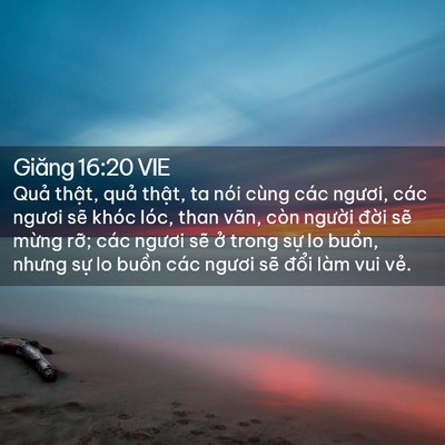 Picture 02 - Giăng 16:20 VIE - Quả thật, quả thật, ta nói cùng các - Bible Verse Picture