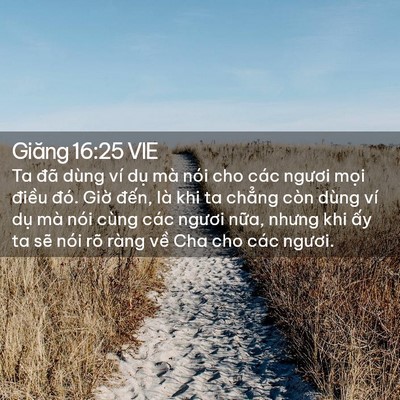 Picture 02 - Giăng 16:25 VIE - Ta đã dùng ví dụ mà nói cho các ngươi - Bible Verse Picture