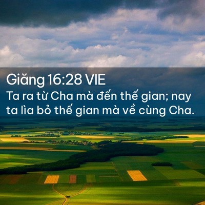 Picture 02 - Giăng 16:28 VIE - Ta ra từ Cha mà đến thế gian; nay ta lìa - Bible Verse Picture