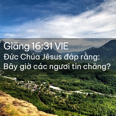 Picture 02 - Giăng 16:31 VIE - Đức Chúa Jêsus đáp rằng: Bây giờ các - Bible Verse Picture