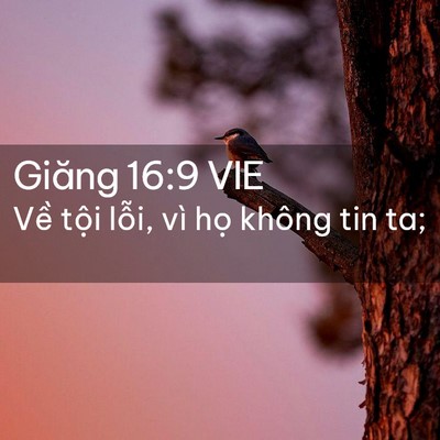 Picture 02 - Giăng 16:9 VIE - Về tội lỗi, vì họ không tin - Bible Verse Picture