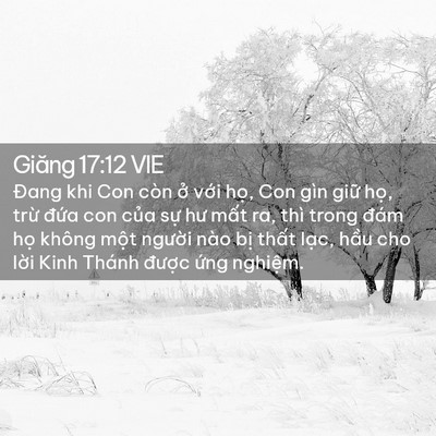 Picture 02 - Giăng 17:12 VIE - Đang khi Con còn ở với họ, Con gìn giữ - Bible Verse Picture