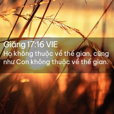 Picture 02 - Giăng 17:16 VIE - Họ không thuộc về thế gian, cũng như - Bible Verse Picture