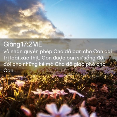 Picture 02 - Giăng 17:2 VIE - và nhân quyền phép Cha đã ban cho Con cai - Bible Verse Picture