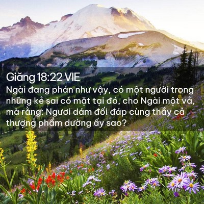 Picture 02 - Giăng 18:22 VIE - Ngài đang phán như vậy, có một người - Bible Verse Picture