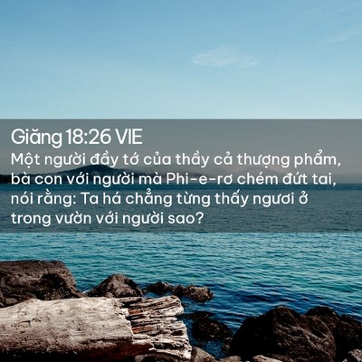 Picture 02 - Giăng 18:26 VIE - Một người đầy tớ của thầy cả - Bible Verse Picture
