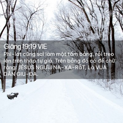 Picture 02 - Giăng 19:19 VIE - Phi-lát cũng sai làm một tấm bảng, rồi - Bible Verse Picture
