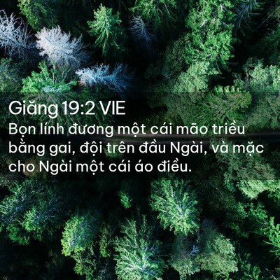 Picture 02 - Giăng 19:2 VIE - Bọn lính đương một cái mão triều - Bible Verse Picture