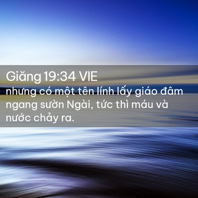 Picture 02 - Giăng 19:34 VIE - nhưng có một tên lính lấy giáo đâm - Bible Verse Picture