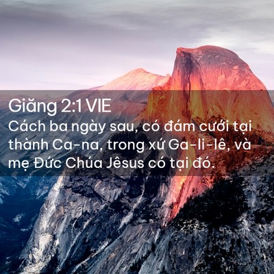 Picture 02 - Giăng 2:1 VIE - Cách ba ngày sau, có đám cưới tại - Bible Verse Picture
