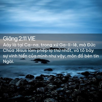 Picture 02 - Giăng 2:11 VIE - Aáy là tại Ca-na, trong xứ Ga-li-lê, mà - Bible Verse Picture